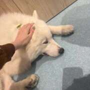 ヒメ日記 2025/09/19 13:09 投稿 優愛(ユア) グランドオペラ名古屋