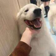 ヒメ日記 2025/09/30 22:09 投稿 優愛(ユア) グランドオペラ名古屋