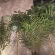 ヒメ日記 2025/10/09 21:17 投稿 優愛(ユア) グランドオペラ名古屋