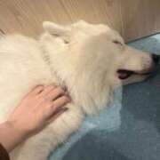 ヒメ日記 2025/10/12 12:19 投稿 優愛(ユア) グランドオペラ名古屋