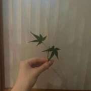 ヒメ日記 2025/10/21 23:09 投稿 優愛(ユア) グランドオペラ名古屋