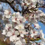 ヒメ日記 2025/03/30 23:54 投稿 みさき 激安ドットコム