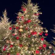 ヒメ日記 2025/12/24 23:10 投稿 みさき 激安ドットコム