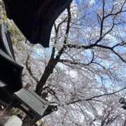 ヒメ日記 2026/04/01 07:45 投稿 みさき 激安ドットコム