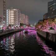 ヒメ日記 2024/12/09 22:08 投稿 ひばり 熟女デリヘル倶楽部