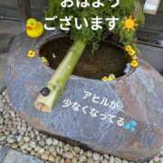 ヒメ日記 2025/02/27 09:01 投稿 ひばり 熟女デリヘル倶楽部