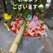 ヒメ日記 2025/03/03 09:01 投稿 ひばり 熟女デリヘル倶楽部