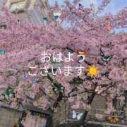 ヒメ日記 2025/03/14 08:48 投稿 ひばり 熟女デリヘル倶楽部