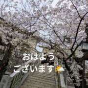 ヒメ日記 2025/03/27 08:56 投稿 ひばり 熟女デリヘル倶楽部