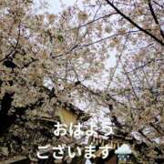 ヒメ日記 2025/03/29 08:55 投稿 ひばり 熟女デリヘル倶楽部