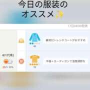 ヒメ日記 2025/04/17 10:39 投稿 ひばり 熟女デリヘル倶楽部