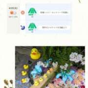 ヒメ日記 2025/04/22 08:15 投稿 ひばり 熟女デリヘル倶楽部