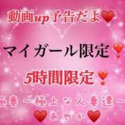 ヒメ日記 2024/06/09 11:03 投稿 あやか 極妻 ～極上な人妻達～