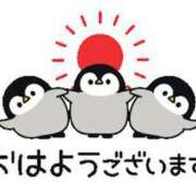 ヒメ日記 2024/09/07 08:03 投稿 あやか 極妻 ～極上な人妻達～