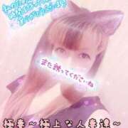 ヒメ日記 2024/10/12 16:48 投稿 あやか 極妻 ～極上な人妻達～