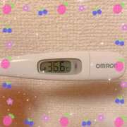 ヒメ日記 2025/01/17 17:14 投稿 石川　あやか つくば風俗エキスプレス   ヌキ坂46