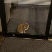 ヒメ日記 2024/12/12 13:30 投稿 ゆきの♡美巨乳Hカップ♡ 即生専門店ゴッドパイ