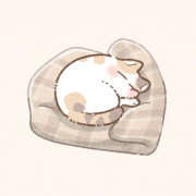 ヒメ日記 2025/11/15 15:22 投稿 ゆき 彼女の部屋本店