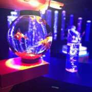 ヒメ日記 2025/06/17 15:32 投稿 あき 静岡人妻なでしこ（カサブランカグループ)