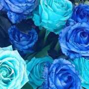 ヒメ日記 2025/07/03 06:26 投稿 真矢 鶯谷人妻城