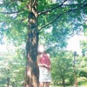 ヒメ日記 2025/07/10 06:44 投稿 さくら 西川口前立腺研究所