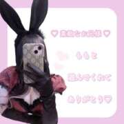 ヒメ日記 2026/02/07 18:33 投稿 もも 折り紙 ORIGAMI