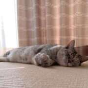 ヒメ日記 2025/07/29 13:21 投稿 こはる 宇都宮発～正統派清楚系デリヘル！ CHERIMO（シェリモ）