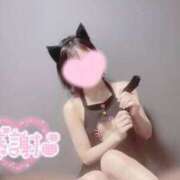 ひかり 優しい笑顔と、大胆なギャップに…💕 ときめき純情ロリ学園～東京乙女組 新宿校