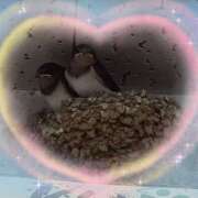 ヒメ日記 2025/06/20 15:15 投稿 不二子 千姫(道後)