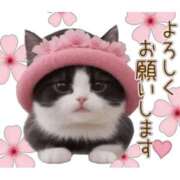 ヒメ日記 2025/09/29 01:18 投稿 不二子 千姫(道後)