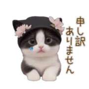 ヒメ日記 2025/11/26 16:02 投稿 不二子 千姫(道後)