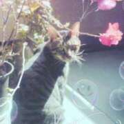 ヒメ日記 2025/12/28 12:16 投稿 不二子 千姫(道後)