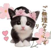 不二子 申請〜 千姫(道後)