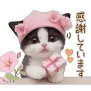 ヒメ日記 2026/03/01 12:30 投稿 不二子 千姫(道後)