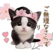 ヒメ日記 2026/08/10 15:15 投稿 不二子 千姫(道後)