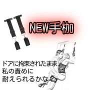 ヒメ日記 2024/10/30 12:01 投稿 ゆきの(ゆきの) 黒薔薇