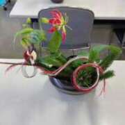 ヒメ日記 2024/12/10 20:55 投稿 若菜-Wakana- Aroma Bloom（アロマブルーム）