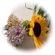 ヒメ日記 2025/06/08 22:05 投稿 若菜-Wakana- Aroma Bloom（アロマブルーム）