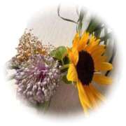 ヒメ日記 2025/09/07 09:05 投稿 若菜-Wakana- Aroma Bloom（アロマブルーム）