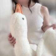 ヒメ日記 2026/03/15 15:35 投稿 ゆい ぷるるん小町梅田店