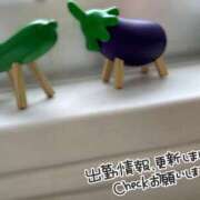 ヒメ日記 2026/08/24 08:21 投稿 ゆい ぷるるん小町梅田店