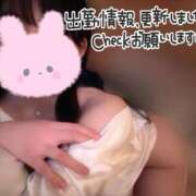 ヒメ日記 2026/10/05 06:05 投稿 ゆい ぷるるん小町梅田店