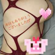 ヒメ日記 2025/11/06 02:42 投稿 れい 八尾藤井寺羽曳野ちゃんこ