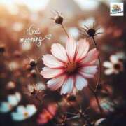 ヒメ日記 2025/07/17 07:28 投稿 会津愛子 五十路マダム 愛されたい熟女たち 高松店