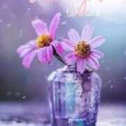 ヒメ日記 2025/08/21 23:48 投稿 会津愛子 五十路マダム 愛されたい熟女たち 高松店