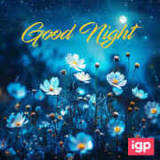 ヒメ日記 2025/09/29 00:06 投稿 会津愛子 五十路マダム 愛されたい熟女たち 高松店