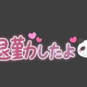 ヒメ日記 2024/06/25 12:28 投稿 こむぎ 鹿児島ちゃんこ 薩摩川内店