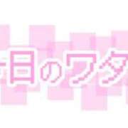 ヒメ日記 2024/08/06 23:05 投稿 こむぎ 鹿児島ちゃんこ 薩摩川内店