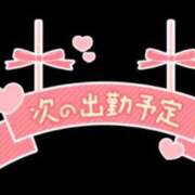 ヒメ日記 2024/08/11 10:06 投稿 こむぎ 鹿児島ちゃんこ 薩摩川内店