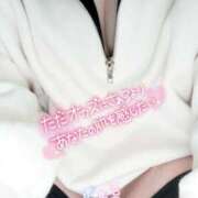 ヒメ日記 2024/12/20 08:15 投稿 こむぎ 鹿児島ちゃんこ 薩摩川内店